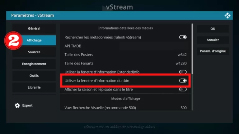 Fenêtre d'information du skin